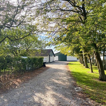 Country Guesthouse Gadstrup ภายนอก รูปภาพ